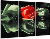 Glasschilderij Roos - Rood, Groen, Zwart - 120x80cm 3Luik - Foto Op Glas - Geen Acrylglas Schilderij - GroepArt 6000+ Glas Art Collectie - Maatwerk Mogelijk