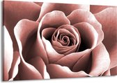 Peinture | Peinture sur toile Rose, Fleur | Rouge-marron | 140x90cm 1 Liège | Tirage photo sur toile