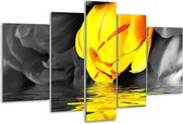 Glasschilderij Tulpen - Geel, Grijs, Zwart - 170x100cm 5Luik - Foto Op Glas - Geen Acrylglas Schilderij - 6000+ Glasschilderijen Collectie - Wanddecoratie