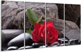 GroepArt - Glasschilderij - Roos - Rood, Zwart - 160x80cm 4Luik - Foto Op Glas - Geen Acrylglas Schilderij - 6000+ Glasschilderijen Collectie - Wanddecoratie