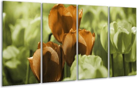 GroepArt - Glasschilderij - Tulpen - Bruin, Groen, Zwart - 160x80cm 4Luik - Foto Op Glas - Geen Acrylglas Schilderij - 6000+ Glasschilderijen Collectie - Wanddecoratie