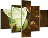 Glasschilderij -  Bloem - Wit, Bruin, Groen - 100x70cm 5Luik - Geen Acrylglas Schilderij - GroepArt 6000+ Glasschilderijen Collectie - Wanddecoratie- Foto Op Glas