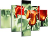 Glasschilderij -  Tulp - Rood, Oranje, Groen - 100x70cm 5Luik - Geen Acrylglas Schilderij - GroepArt 6000+ Glasschilderijen Collectie - Wanddecoratie- Foto Op Glas