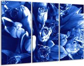 GroepArt - Schilderij -  Bloemen - Blauw, Wit - 120x80cm 3Luik - 6000+ Schilderijen 0p Canvas Art Collectie