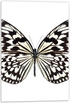 Acrylglas - Zwart Witte Vlinder - 40x60cm Foto op Acrylglas (Wanddecoratie op Acrylglas)