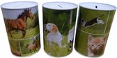 ARO houseware Spaarblik dieren 12x8 cm assorti (1 stuk) assorti