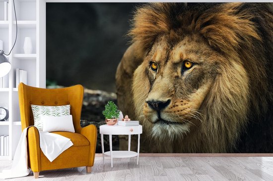 Papier peint - Papier peint photo Lion - Portrait - Sauvage - Largeur 420 cm x hauteur 280 cm