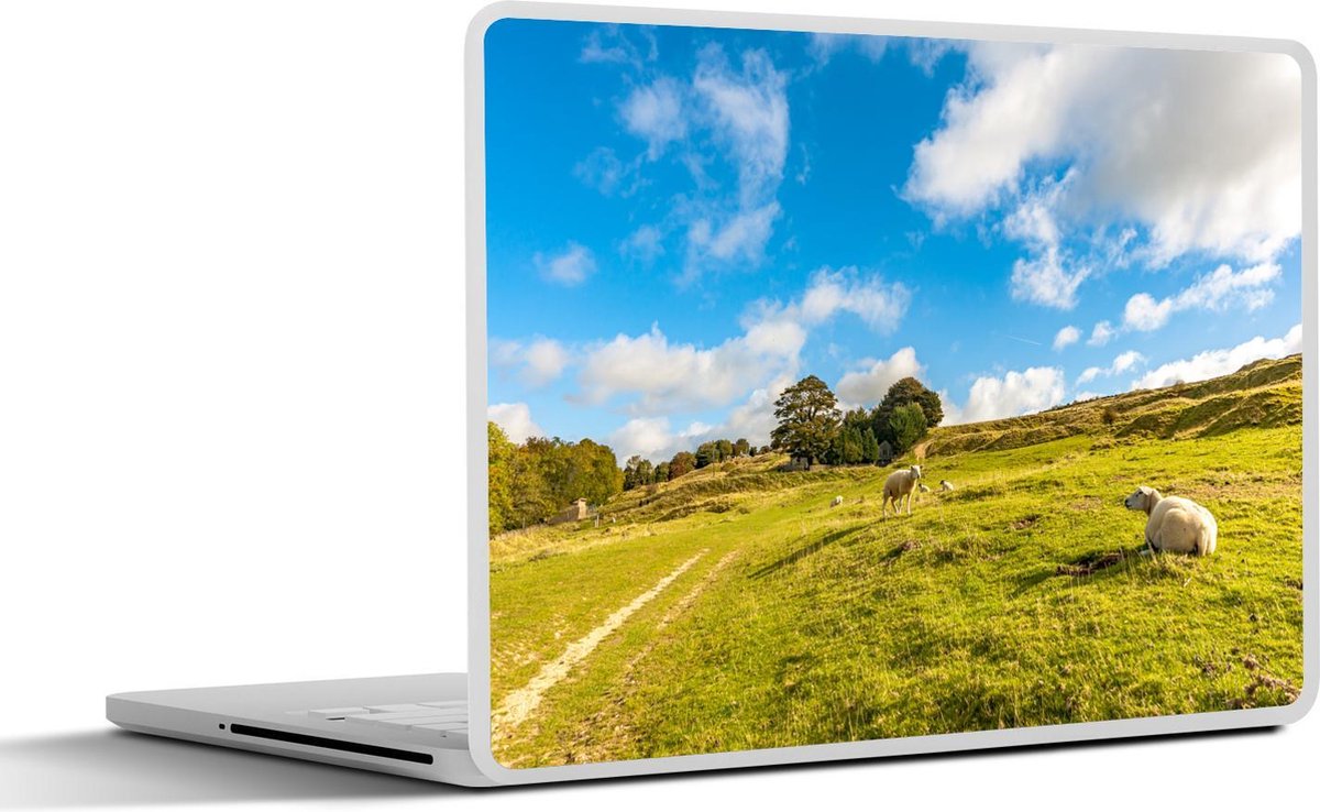 Afbeelding van product SleevesAndCases  Laptop sticker - 12.3 inch - Schapen - Gras - Lucht