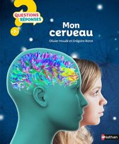 Questions-réponses 7+ - Mon cerveau