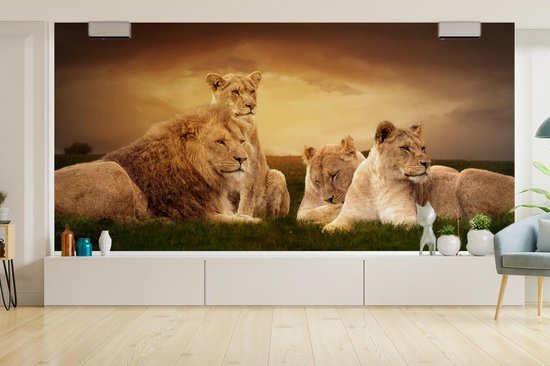 Papier peint - Papiers Papier peint photo Lions - Herbe - Ciel - Largeur 395 cm x Hauteur 220 cm