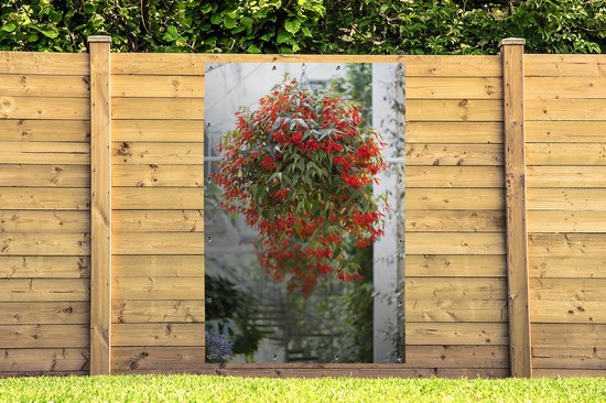 Plante à suspendre à fleurs rouges 120x180 cm XXL / Groot format!