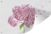 Muurdecoratie Close-up hortensia op witte achtergrond - 180x120 cm - Tuinposter - Tuindoek - Buitenposter