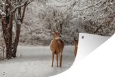 Tuinposter - Tuindoek - Tuinposters buiten - Herten - Sneeuw - Bomen - 120x80 cm - Tuin