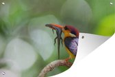 Muurdecoratie Vogel - Veren - Reptielen - 180x120 cm - Tuinposter - Tuindoek - Buitenposter