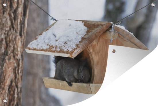 Foto: Tuindecoratie eekhoorn vogelhuisje vogel sneeuw 60x40 cm tuinposter tuindoek buitenposter