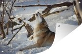 Muurdecoratie Wolf - Sneeuw - Bos - 180x120 cm - Tuinposter - Tuindoek - Buitenposter