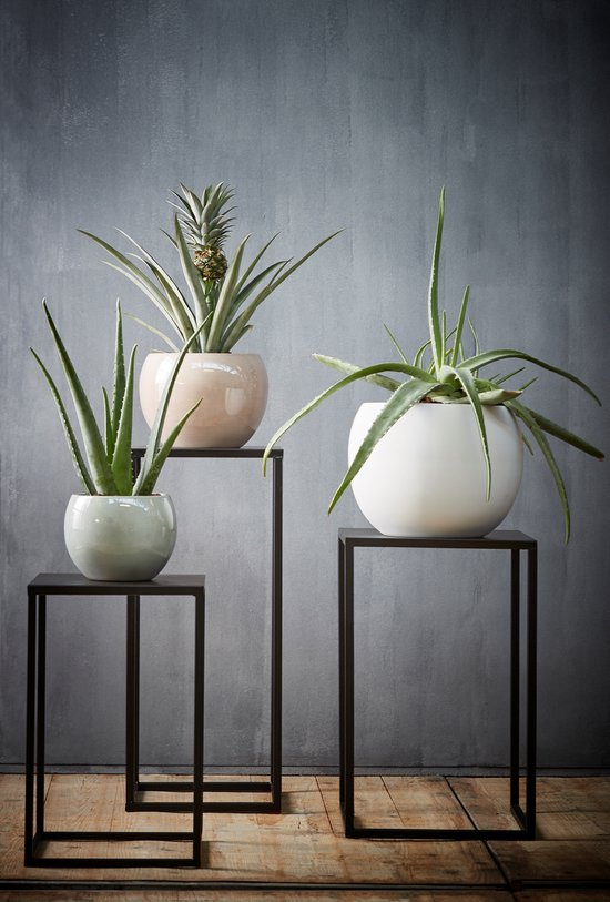 Zwarte metalen plantenstandaards met diverse planten in potten.