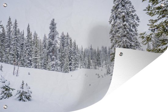 Affiche de jardin Les arbres qui poussent dans une forêt enneigée 120x80 cm - Toile de jardin / Toile d'extérieur / Peintures pour l'extérieur (décoration de jardin)