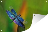 Tuindecoratie Een blauwe libelle - 60x40 cm - Tuinposter - Tuindoek - Buitenposter