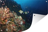 Muurdecoratie Vis - Oceaan - Koraal - 180x120 cm - Tuinposter - Tuindoek - Buitenposter