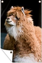 Tuinposter - Tuindoek - Tuinposters buiten - Alpaca - Vacht - Bruin - 80x120 cm - Tuin