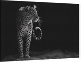 Loerende Jaguar op zwarte achtergrond - Foto op Canvas - 60 x 40 cm