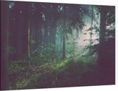 Lichtstralen door het bos bij dauw - Foto op Canvas - 90 x 60 cm