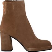 Notre-V B4254 Enkellaarsjes - Enkelboots - Dames - Camel - Maat 41