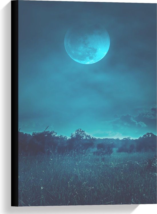 Canvas  - Maan in Blauwe Nachtlucht  - 40x60cm Foto op Canvas Schilderij (Wanddecoratie op Canvas)