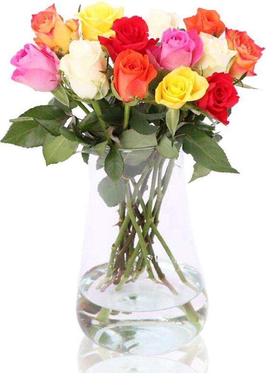 e-bloom Brievenbus Rozen Bonte Mix