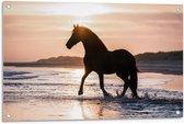 Tuinposter – Silhouet van Paard Sjokkend over Strand - 90x60cm Foto op Tuinposter  (wanddecoratie voor buiten en binnen)