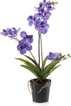 Kunstbloem Vanda 60 cm paars in pot