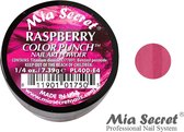 Color Punch Acrylpoeder Raspberry