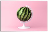 Dibond - Watermeloen op Wereldbolstandaard - 60x40cm Foto op Aluminium (Met Ophangsysteem)