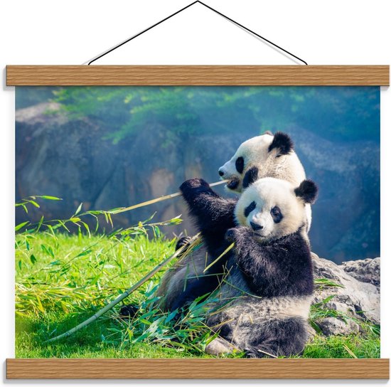 Schoolplaat – Bamboe etend Pandakoppel - 40x30cm Foto op Textielposter (Wanddecoratie op Schoolplaat)