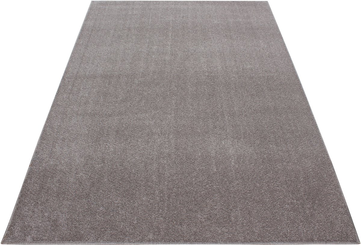 Laagpolig vloerkleed Ata - beige - 80x150 cm