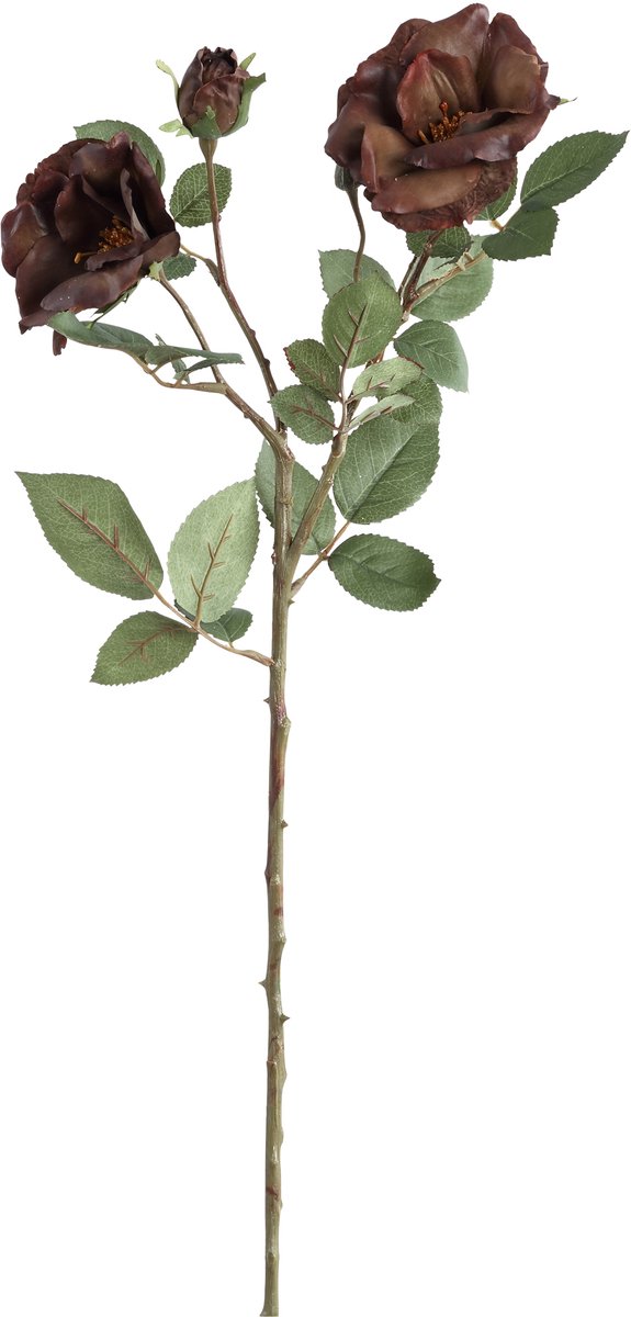 PTMD Rose bloem purple spray 2flower 3buds with leaves