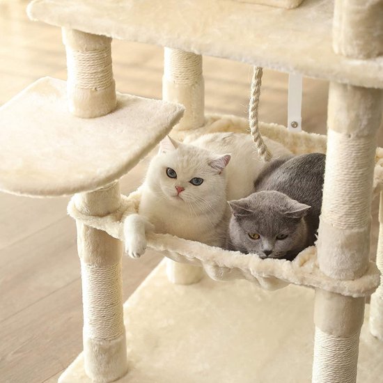 Twee katten, één witte en één grijze, liggen ontspannen in de hangmat van een beige krabpaal.