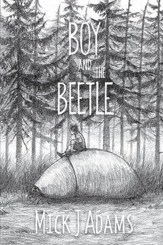 Boy and the Beetle - cover