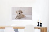 Canvas Schilderij Witte Golden Retriever puppy - 90x60 cm - Wanddecoratie