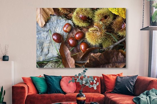 Canvas schilderij 150x100 cm - Wanddecoratie Zoete tamme kastanjes liggend op de herfstgrond - Muurdecoratie woonkamer - Slaapkamer decoratie - Kamer accessoires - Schilderijen