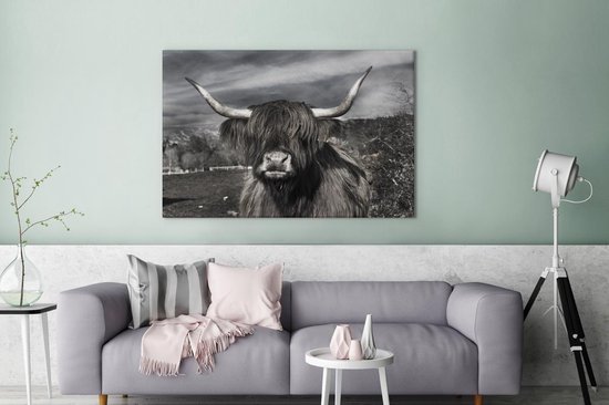 Canvas Schilderijen - Schotse hooglander - Portret - Zwart - Wit - 140x90  cm -... | bol.com