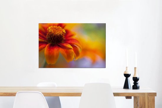 Canvas Schilderij Close-up van een oranje zinnia bloem - 90x60 cm - Wanddecoratie