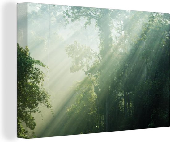 Canvas Schilderij Zonnestralen bij een groen bos in Maleisië - 60x40 cm - Wanddecoratie