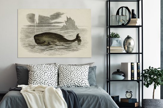 Une illustration antique d'une toile de baleine 140x90 cm - Tirage photo sur toile (Décoration murale salon / chambre) / Peintures sur toile animaux sauvages