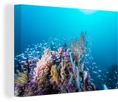Récif de corail dans une mer d'un bleu profond Toile 30x20 cm - petit - Tirage photo sur toile (Décoration murale salon / chambre)