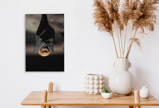 Toile de chauve-souris suspendue 20x30 cm - petit - Tirage photo sur toile (Décoration murale salon / chambre) / Peintures sur toile Animaux
