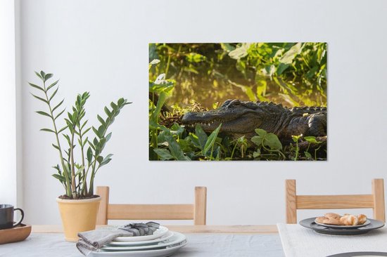 Alligator américain en toile nature 2cm 60x40 cm - Tirage photo sur toile (Décoration murale salon / chambre)