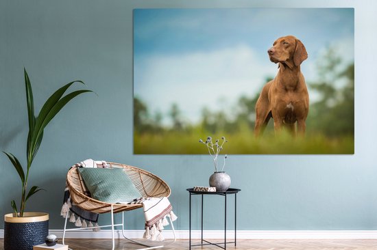 Canvas schilderij 180x120 cm - Wanddecoratie Hond die wegkijkt - Muurdecoratie woonkamer - Slaapkamer decoratie - Kamer accessoires - Schilderijen