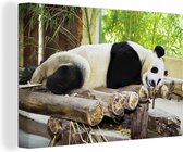 Canvas schilderij 150x100 cm - Wanddecoratie Panda - Bamboe - Slapen - Balken - Muurdecoratie woonkamer - Slaapkamer decoratie - Kamer accessoires - Schilderijen